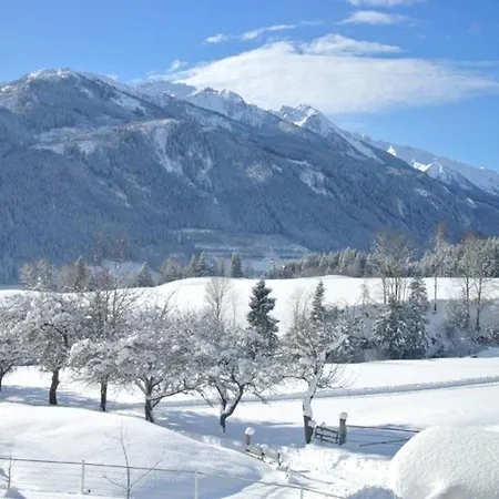 Hollersbach 度假居 *